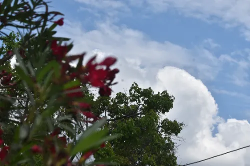 Prueba de compresión